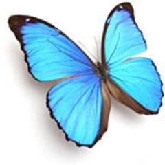 CarolineDempse6's profile picture. 