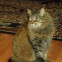 Beverly Varner - @bvarner40 - Twitter