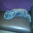 Anna Michelle Winton - @anapana117 - Twitter