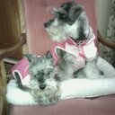 Danny Hooper - @Danny_Hooper - Twitter