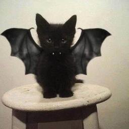 saphire921's profile picture. 