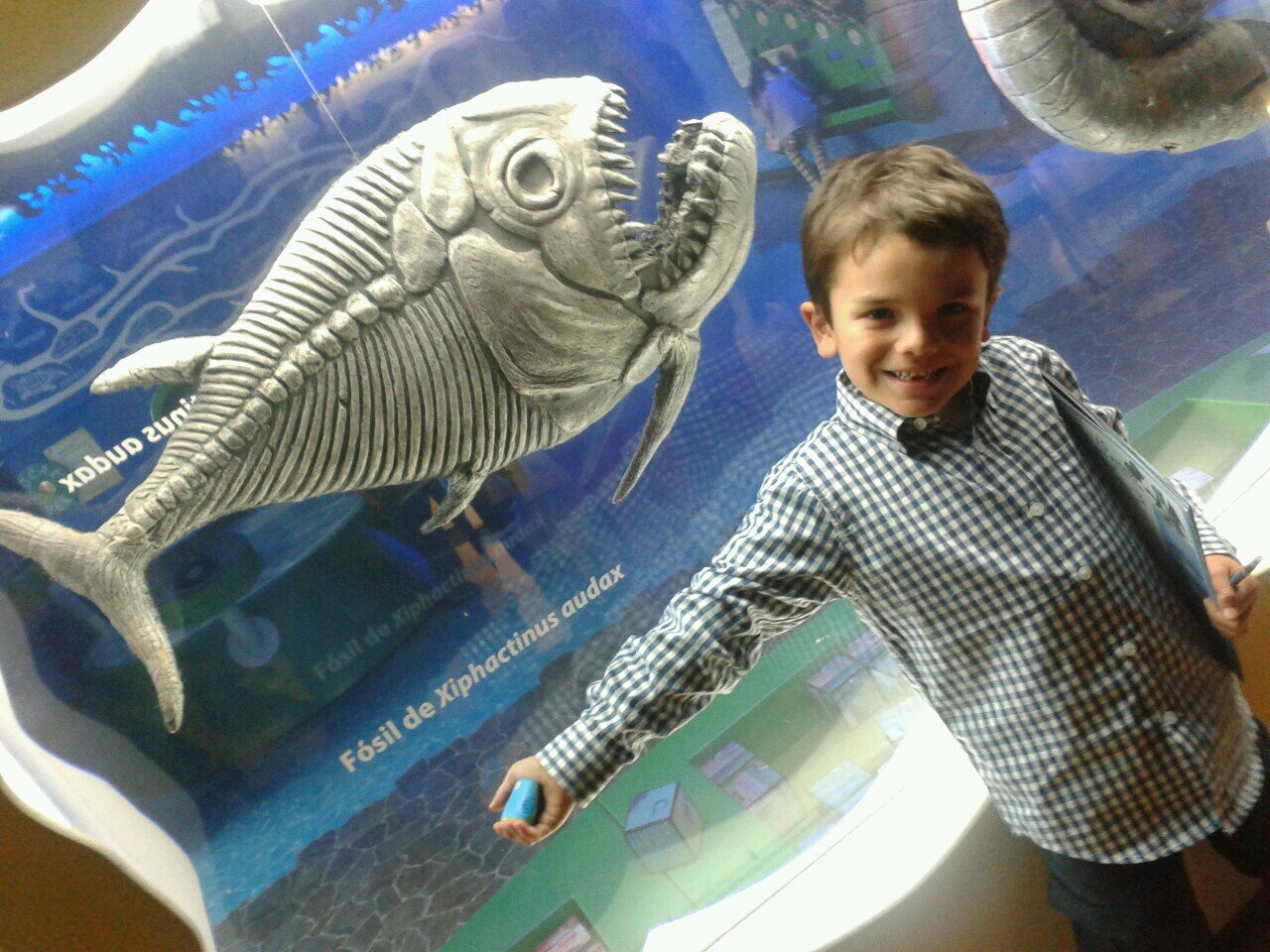 Diriros's profile picture. 