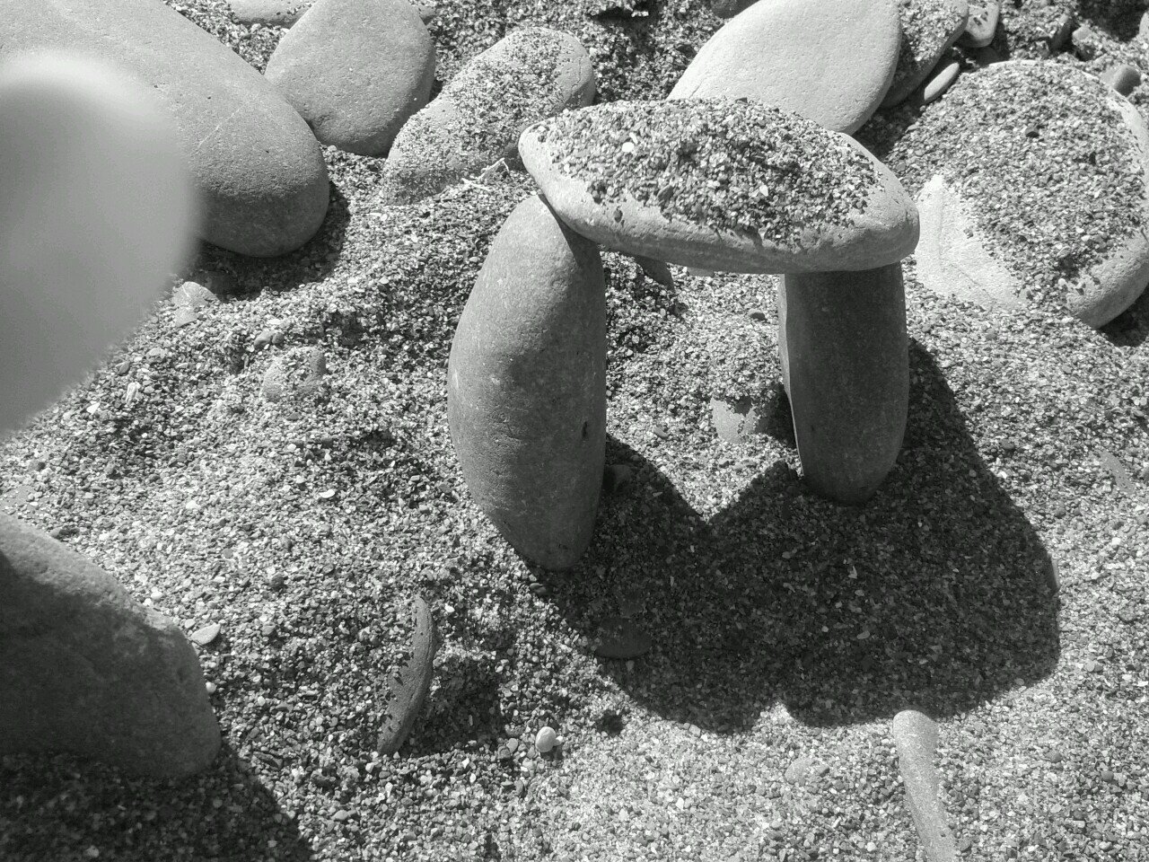 boyciesgirl's profile picture. 