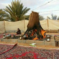 مازن الغامدي (@hhamadleef) 's Twitter Profile