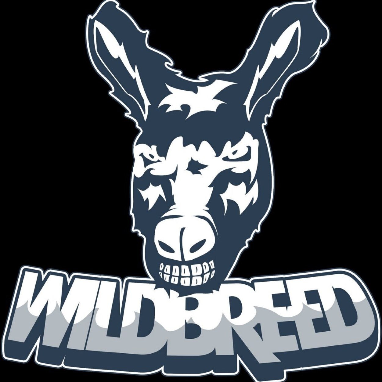 wildBreed - Attending all UK LANS | Roster @wB_Marix @wB_Brew @wB_Sloshy 
@wB_Vanquish
