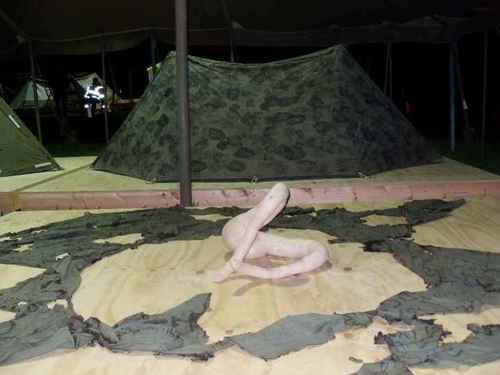 dirtywastegash's profile picture. I am a whore for the internet. I write code (with extra bugs) & make games (they aren't good)