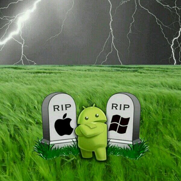 Harrydvd's profile picture. 