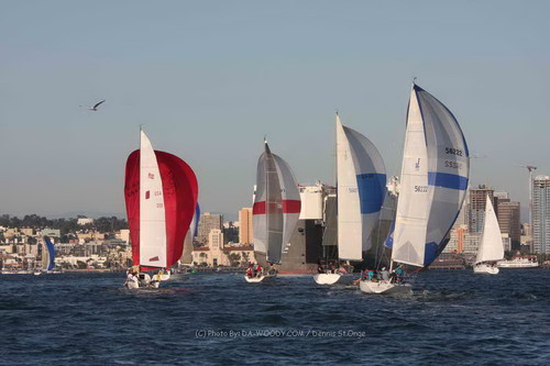 Scotiepp's profile picture. A COOL BOY!!