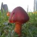 AberMycol (@abermycol) Twitter profile photo AberMycol (@abermycol) Twitter profile photo