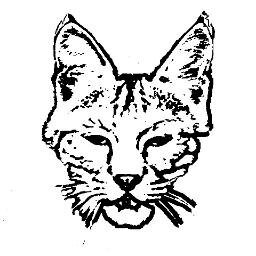 BobcatBrewingCo's profile picture. 