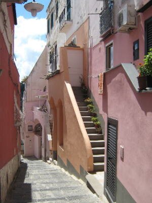 ngtmssevsbut's profile picture. 