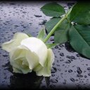 eva bravo garcia - @AveBragar - Twitter