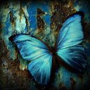 alison chavez - @ambalison - Twitter