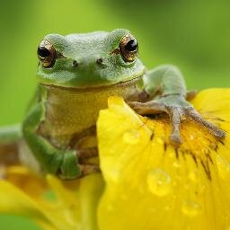 PALYCH_777's profile picture. «Освободите себя от надежды, что море когда-нибудь успокоится. Мы должны научиться плыть при сильном ветре» © Онассис      #following