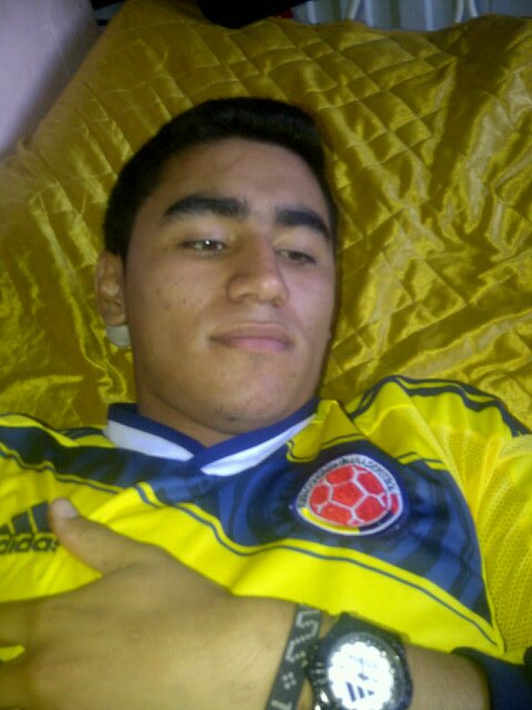 Colombiano,  Docente