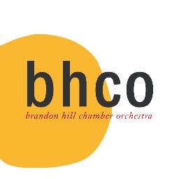 Chamber orchestra based in Bristol, UK.