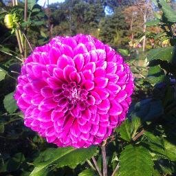 cnrestina's profile picture. 