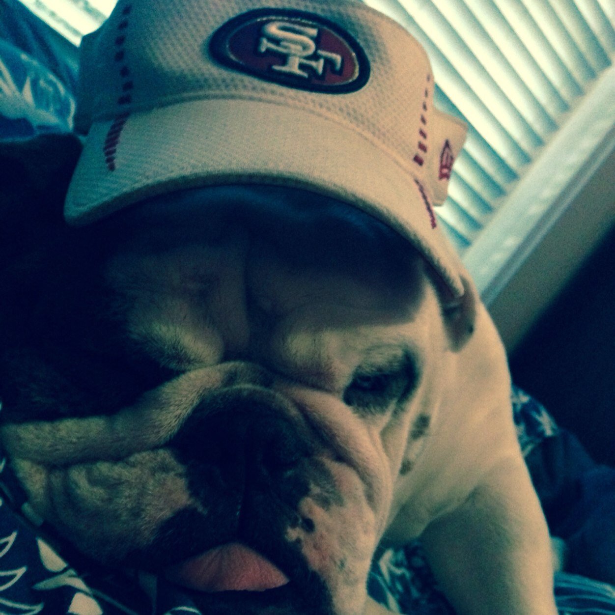 cubfinley's profile picture. 