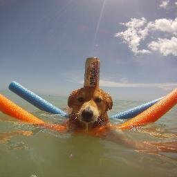 wkndhro's profile picture. ▲