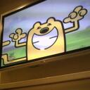 Tracy Ricci - @rtandcc - Twitter