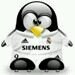 Learning to be loyal and honest to the person who gives credence☆♥