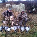 Don Goff - @fetchitupup - Twitter