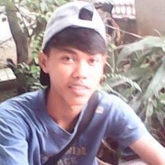 andrivanbommel's profile picture. 