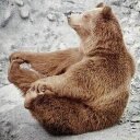 Tasha Ferrell - @awktash - Twitter