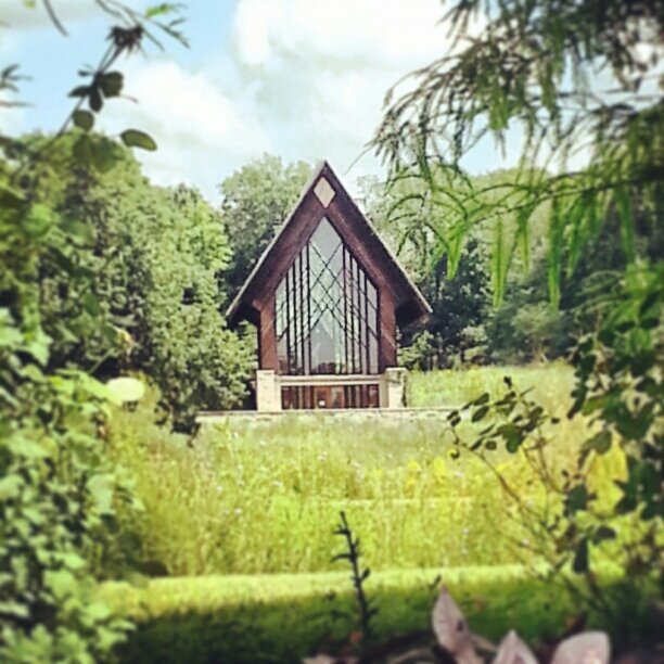 maestro88's profile picture. 