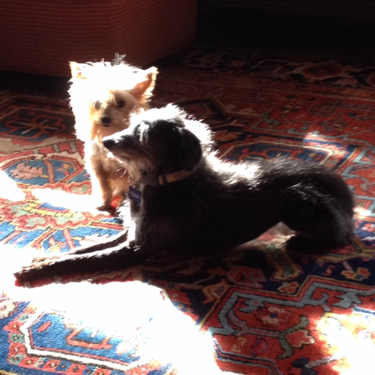 cws1953's profile picture. 