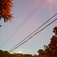 Mwalu Peeters (@mwalupeeters) 's Twitter Profile