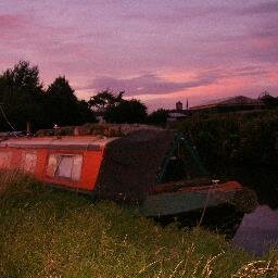 carol_krebs's profile picture. 