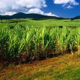 Canaan Sugar Co. will be located in 3 of 12 Int'l Outreach Sites: Nicaragua, Ecuador, and Brazil. More info to follow.. | @RealAsscInt_RAI, @WherIsApCarolK1-=:)