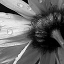 Ashley Samson - @smashley292 - Twitter