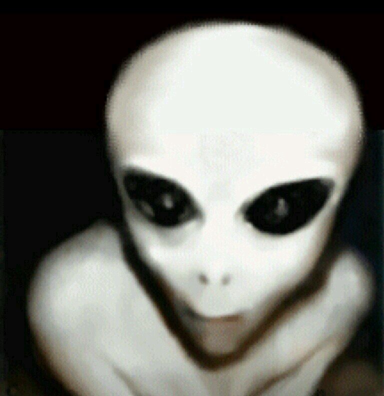 We may never know the truth...
