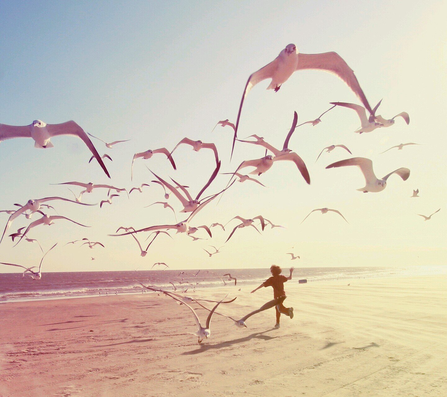 ‏‏أتابع♥♥♥ من يتابعني ♚♚فقط










أتابع♥♥♥ من يتابعني ♚♚فقط