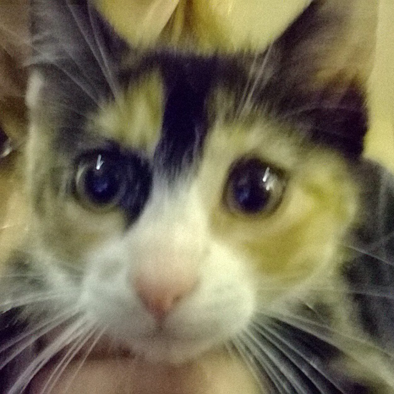 lohrkw's profile picture. 