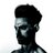 TimZrobok's profile image