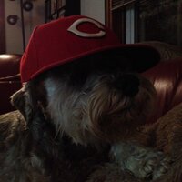 pete fosco (@pbfosco) 's Twitter Profile