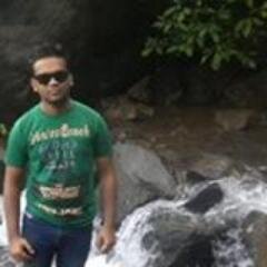 JS Application developer