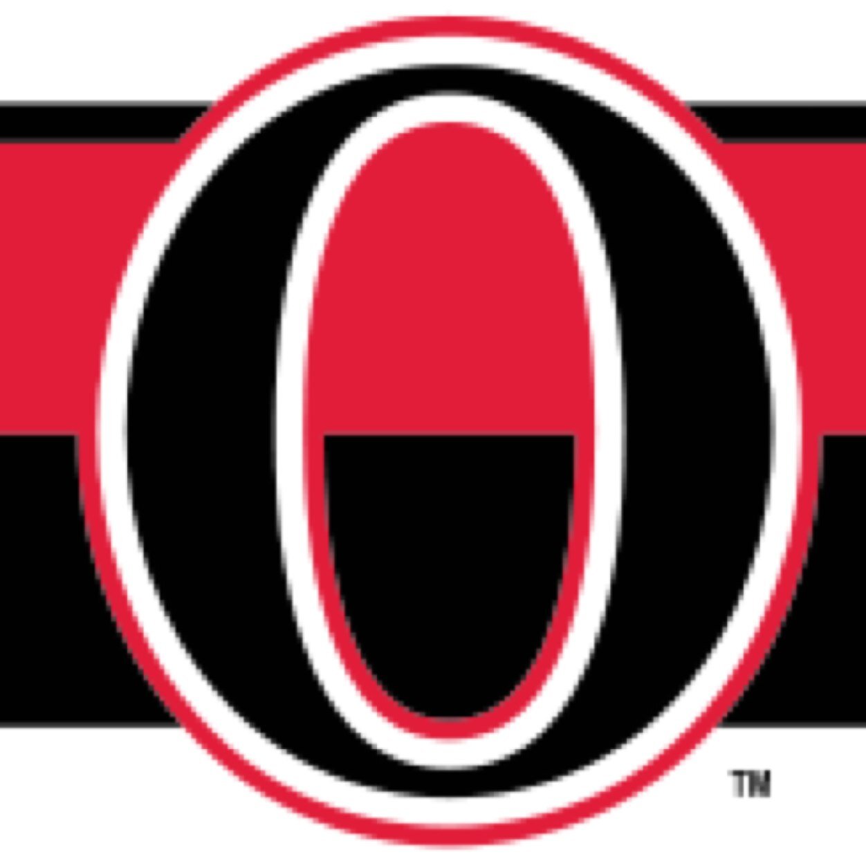 Ottawa Senators Fan, Hockey coach, Husband and Father