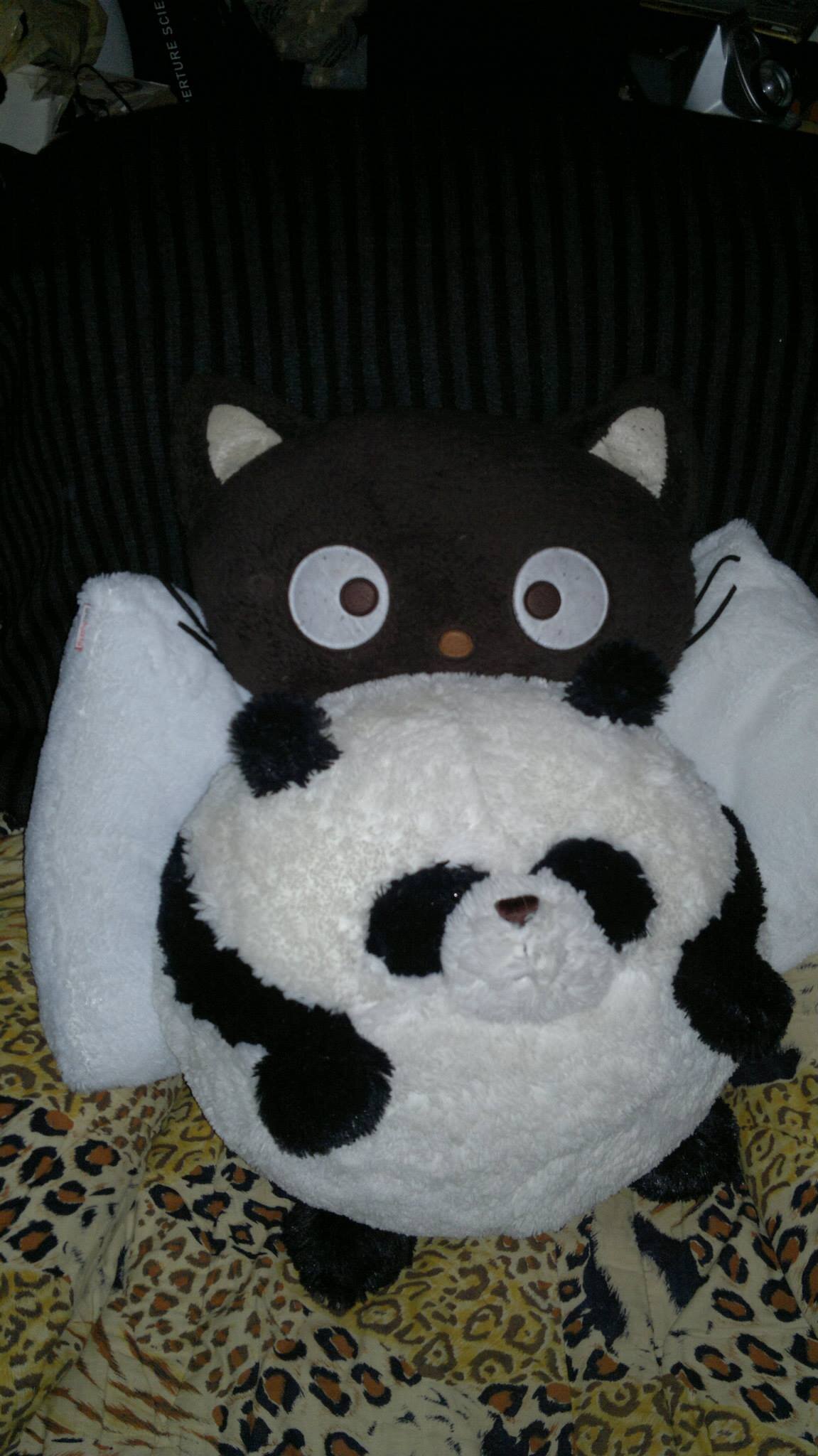 peter_pandacat's profile picture. pandacats say Meow! =^.*=