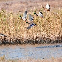 Διοργάνωση κυνηγετικών safaris στο εξωτερικό. Hunting safaris in South Africa and in Estonia.