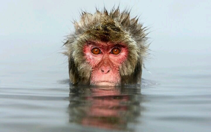 mrkity87's profile picture. 