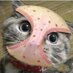 XUNZHI DU (@xz_du) Twitter profile photo XUNZHI DU (@xz_du) Twitter profile photo
