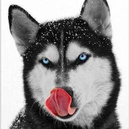 monpoupi2's profile picture. Bien faire et laisser braire !!