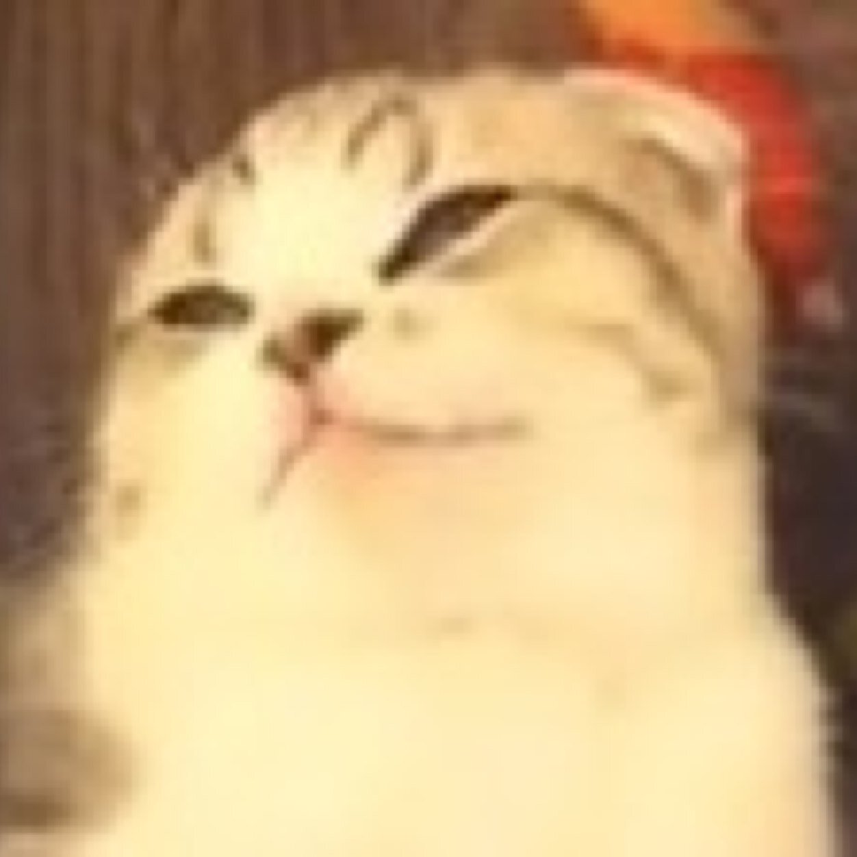 Meredith here... Meow