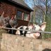 De Warande - Huizen (@kibohuizen) Twitter profile photo
