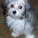 Heather Oakes - @HeatherMOakes - Twitter