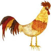 Rise & Shine Fest (@riseshinefest) 's Twitter Profile